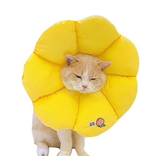 GUxXJ[ Lp p ybgp rߖh~ p ߉\ _炩  y ʋC ی y z h ϋv rߖh~ ~ ߉\ ^^̑^L Ђ܂^ (20`30cm,CG[)