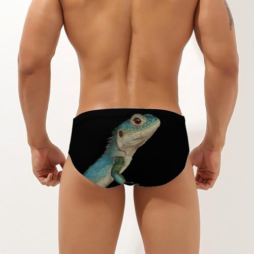 Japanese Grass Lizard Men's Swimsuit Bikini Briefs Swim Underwear Stretchy Swimwear3