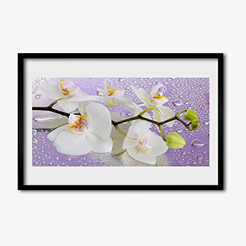 Affiche encadrée photo 60x40 cm cadre MDF salon tableau fleurs plante nature murale