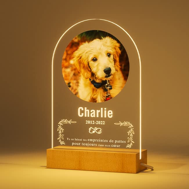 Cadeaux Commémoratifs Personnalisés Pour Chiens Cadeaux De perte D'animaux De Compagnie Plaque Commémorative Pour Chien Cadre Photo Pierre Commémorative...