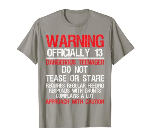 13 Years Old Warning Dangerous Teenager 13th Birthday T-Shirt, Men, Slate Grey, XX-Large