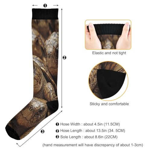 Real Turtle Desert Two Pairs Fun Socks Warm Soft Compression Socks Wear Resisting Easy To Stretch Running Socks3