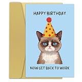 Zoytonky Funny Grumpy Cat Birthday Card for Coworker Boss, Humor Birthday Gifts for Work Friend, Happy Birthday Now Get Back To Work