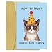 Zoytonky Funny Grumpy Cat Birthday Card for Coworker Boss, Humor Birthday Gifts for Work Friend, Happy Birthday Now Get Back To Work