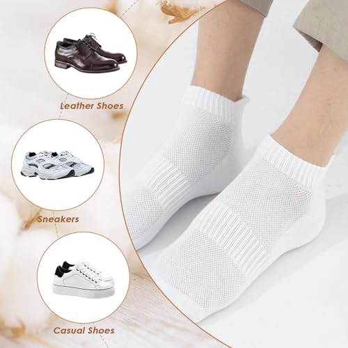 Men’s & Women’s Low Cut Cotton Socks – Breathable No Show Ankle Socks for Sports & Casual Wear – Available in 2 or 3 Pairs4