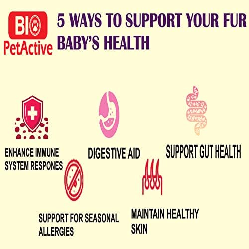 Image of Bio PetActive Biodermdog Biotin and Zinc Tablet for Dogs 0,5 g 75 Tablets Helps in Support Gut Health & Maintain Healthy Skin Condition
