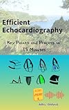 Efficient Echocardiography: Key Points and Process in 15 Minutes