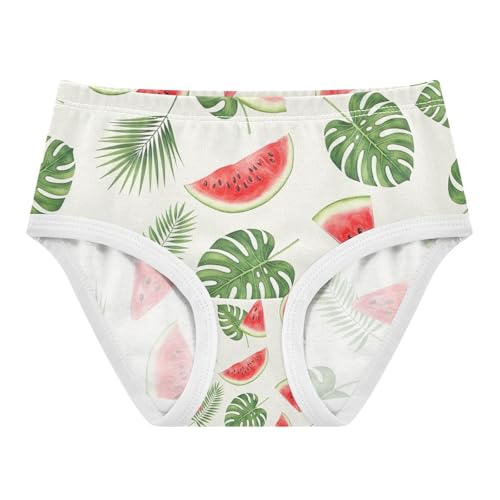 Kids Underwear Girls, Red Watermelon Tropical Leaves Toddler Panties, Girls' Cotton Brief Underwear, 2T–8 Years