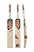 DSC Intense Xhale Grade 5 English Willow Cricket Bat ( Size: Short Handle