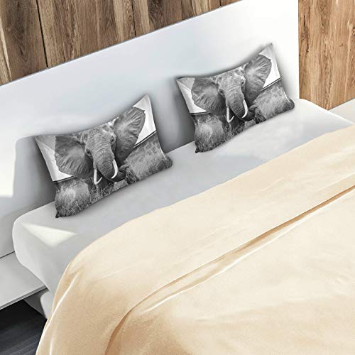 Blueangle Elephant Satin Pillowcase For Hair And Skin Silk Pillowcase, Queen Size(20X30 Inches) - Slip Cooling Satin Pillow Covers With Envelope Closure #TOP6