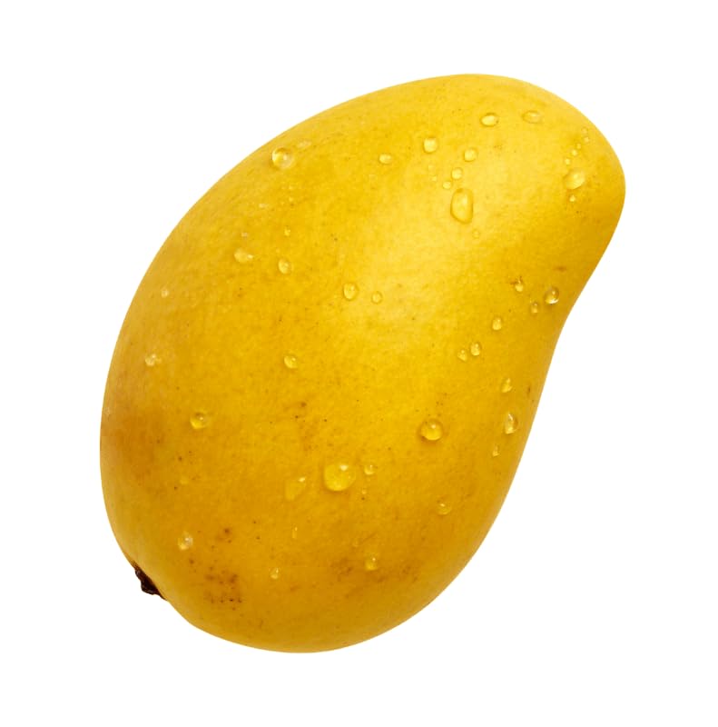 AWADH GRACIOUS - Chaunsa Mango Plant - Grafted & Healthy Plant - Plant Height Around 4 Feet - Early Fruiting in About 1 to 2 Years (Chaunsa Grafted Mango Plant) (B0CG92ML3C) Amazon Price History, Amazon Price Tracker