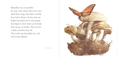 Lifetimes: The Beautiful Way to Explain Death to Children - Image 5