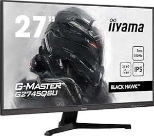 iiyama G-Master Black Hawk G2745QSU-B2 68,5cm 27" IPS LED Gaming Monitor WQHD 100 Hz HDMI DP USB3.2 1ms Adaptive Sync schwarz