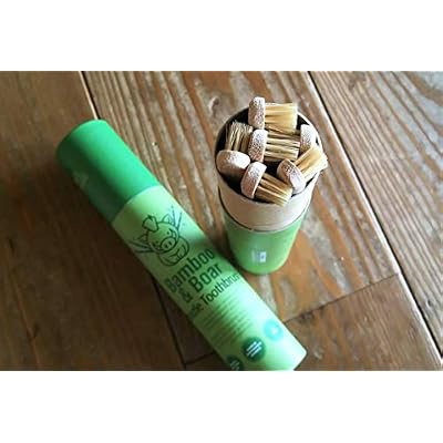 Gaia Guy Natural Bristle Bamboo Toothbrush (NO Nylon - Boar Hair ONLY) - Totally Compostable & Biodegradable Boar Bristle and Bamboo Toothbrushes - Zero Waste - 6-Pack
