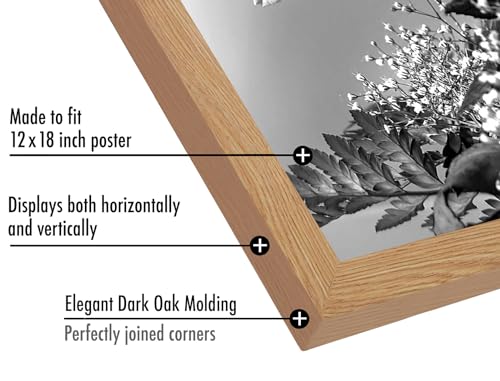 Americanflat 12x18 Poster Frame with Polished Plexiglass - Wide Picture Frames Made of Engineered Wood for Vertical or Horizontal Wall Display - Epic Collection - Dark Oak