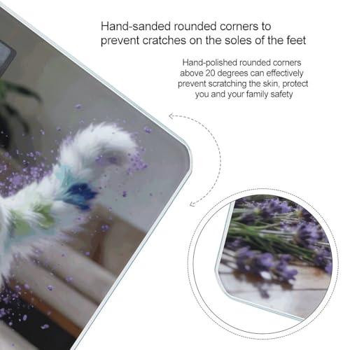 Báscula digital Flower Cat para baño con pantalla LCD miniatura 4