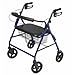 Walkabout Contour Imperial Rolling Walker Color: Blue