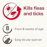 Beaphar - FIPROtec Spot-On for Cats - Kills Fleas & Ticks - Vet Strength Treatment - Easy to Apply - Suitable for Cats & Kittens from 8 Weeks of Age, Weighing more than 1kg - 6 Pipettes - Image 5