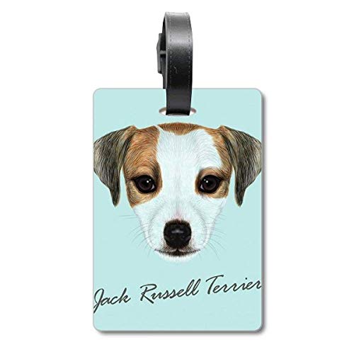 Médaille Jack Russell Terrier pour chien gravée