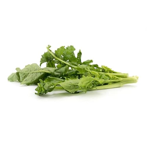 La zappa Semi di cima di Rapa piante per orto e giardino (Di marzo cima grossa)