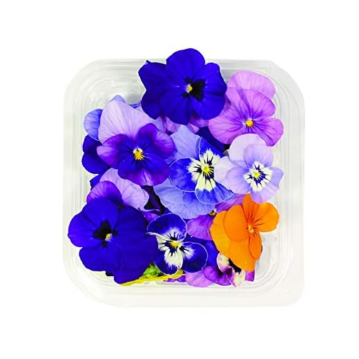 Fiori Commestibili BIOLOGICI - 25 VIOLETTE di COLORI MISTI in vaschetta alimentare di 10 cm x 10 cm x 2,0 cm - Coltivati in Toscana dall'azienda agricola Carmazzi