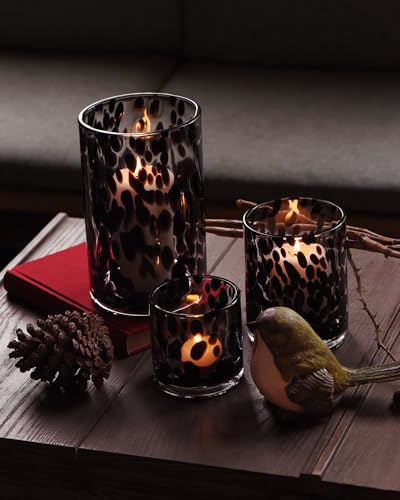ARIAMOTION Glass Hurricane Candle Holder Set