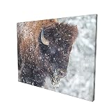 MOYMTEP American Bison Or Buffalo Resting in A Snow Storm Canvas Wall Art Gallery Artwork - Wall Dec