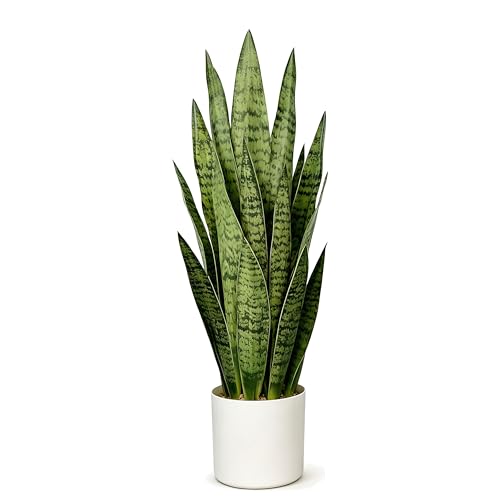 Joyplants Fake Snake Plant, 27in Artificial Plant with White Pot Realistic Leaves, Low Maintenance Potted Plant for Indoor Decor, No Watering Needed, Perfect for Home, Office & Pet Areas