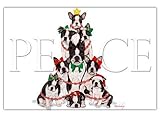 Boston Terrier Christmas Cards Peace : 10 Holiday Cards with Red Envelopes - ADORABLE!