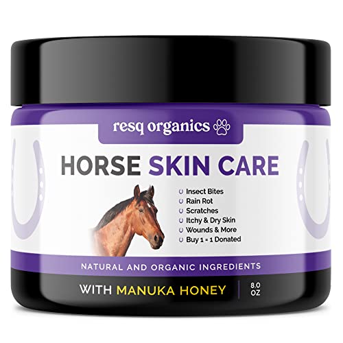 Horse Liniment Wound Healing Ointment – Natural Manuka Honey Wound ...