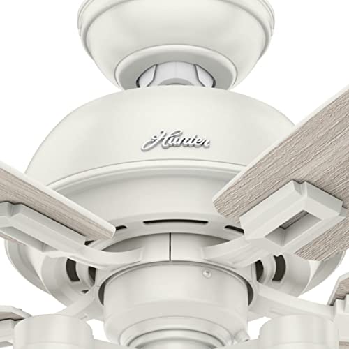 Hunter Fan Company, 52229, 44 Inch Donegan Fresh White Ceiling Fan With Led Light Kit And Pull Chain #TOP5