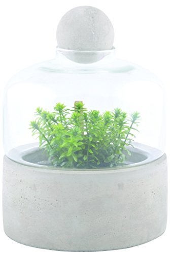 Terrarium Esschert Agg43 pour plantes sans arrosage constant - 2