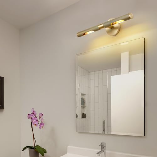 Image of 19 inch L Picture Light Dimmable Vanity Bathroom Light Rotatable 360 Wall Sconce Lights for Pictures Art Gallery Painting Frame,Include Bulbs,Brass 19 inch L x 1.38 inch D