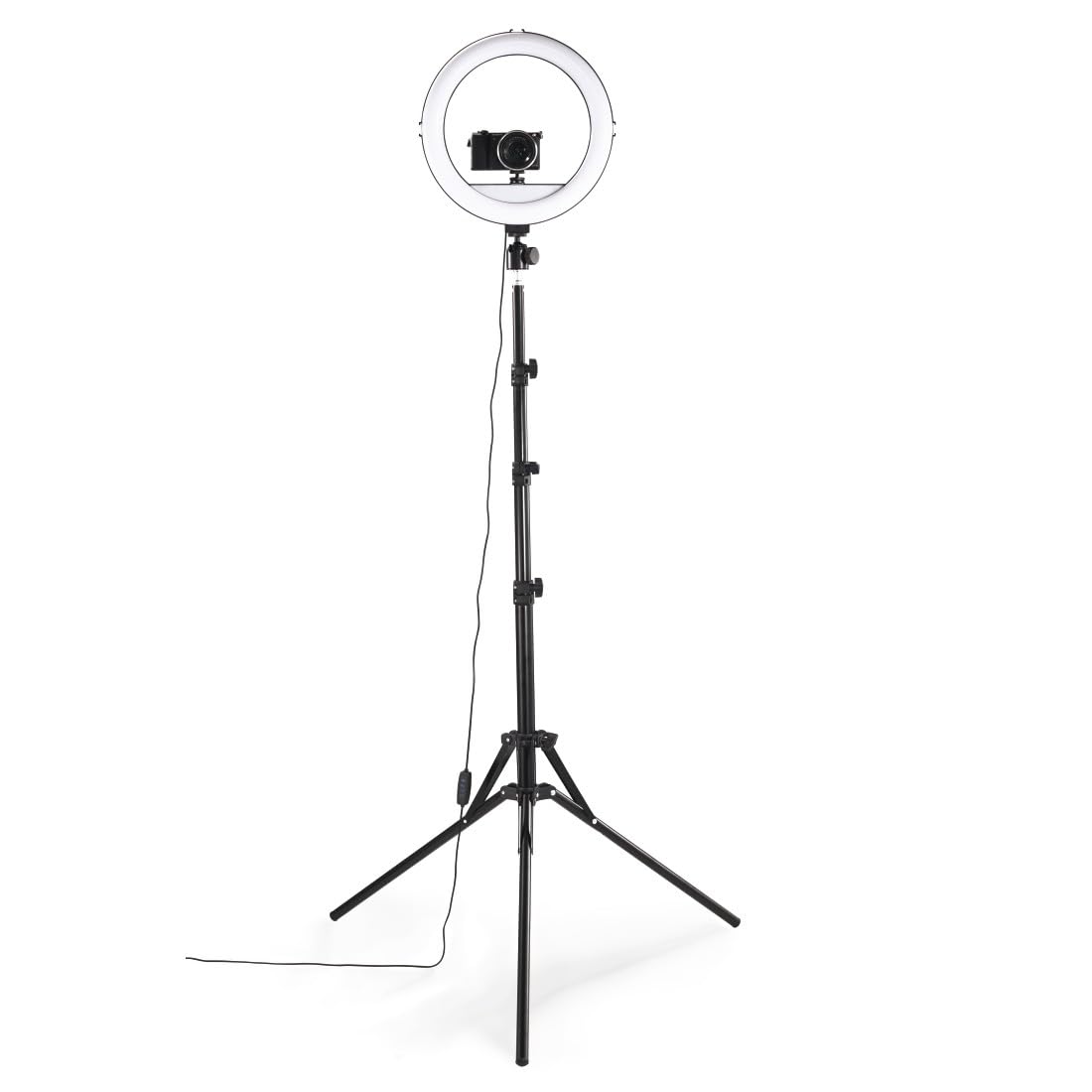 LED-Ringleuchte Spotlight Steady 120 III, Ringlicht-Stativ für Handy, 12"