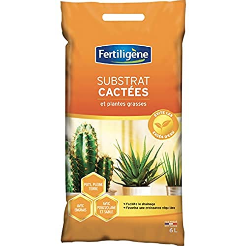 FERTILIGENE FCAC6PN - Substrat Cactées et Plantes Grasses 6 L -Facilite le drainage - Favorise une croissance régulière - Evite les excès d'eau - Avec engrais, pouzzolane et sable - Fabriqué en France