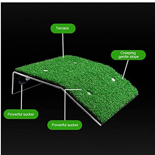 Acquario serbatoio tartaruga tartaruga basking