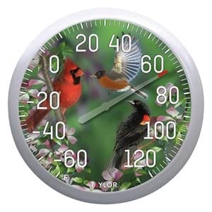 Taylor Precision Products 6774 13-Inch Birds Outdoor Thermometer - Quantity 1