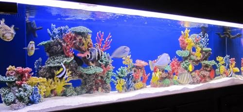 Instant Reef 3G-PNP250A Small Artificial Fake Coral Aquarium Decor for Marine Tanks