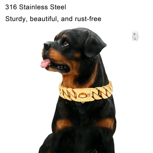 Collier étrangleur pour chien robuste et antirouille avec fermoir de sécurité - 6