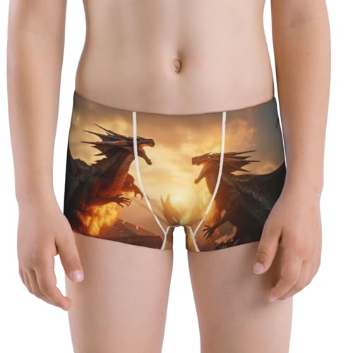 Boys' Cotton Boxer Brief Soft Underwear-Castle Cool Fire Dragon