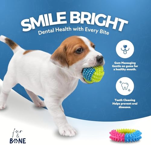 Fur & Bone 10er Set Kauspielzeug Welpe – Welpen Zubehör mit Baumwollseil, Hundespielzeug Quietschend & robustem Hundespielzeug für kleine Hunde – vielseitiges Welpenspielzeug für Training & Spiel