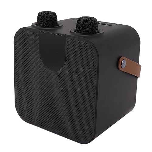Máquina de karaokê de 15 W, Portátil Tipo C SP 200 Change Voice Mini Máquina de karaokê Com 2 Microf