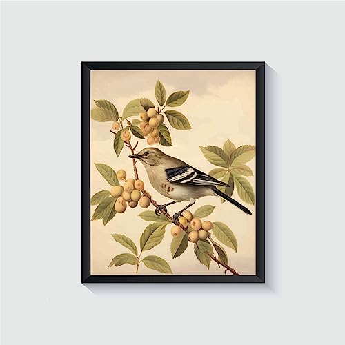 Poster vintage Mockingbird encadré noir peinture oiseau retro salon 28x36