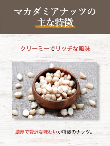 きのみ屋本舗 素焼きマカダミアナッツ 500g
