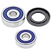 MSR FRT Wheel Bearing Kit Kawasaki KDX KLX Suzuki DRZ 60 80 110