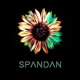 spandau ballet true lyrics  Spandan