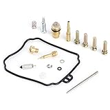 Changor Vergaser-Reparatur-Kit, aus Legierung und Gummiinstallationsanleitung Qualität Material Bälle Vergaser Reparatur für Virago250 XV250 GT250 GTR250
