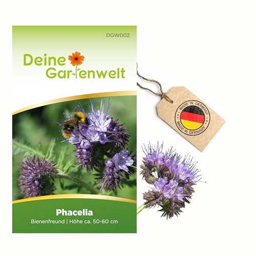 Phacelia Bienenfreund Samen - Phacelia tanacetifolia - Phaceliasamen -...
