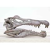 Zoom IMG-1 lkylvee 1 10 spinosaurus skull