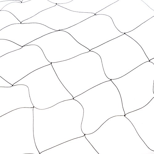 Bird Net, Heavy Duty Anti Bird Protection Mesh Net For Farms Vineyard Agricultural Planting, Black (Nylon, 25' X 50') #TOP4